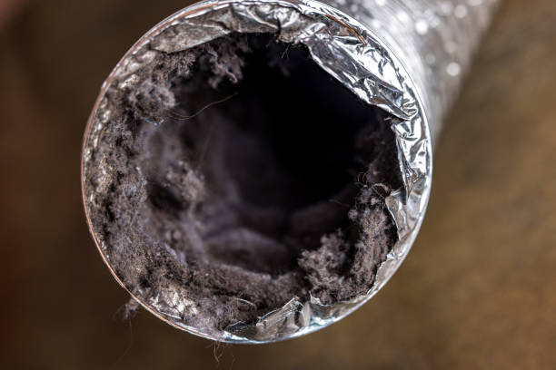 Best Air Duct Cleaning Near Me  in Wheaton, IL